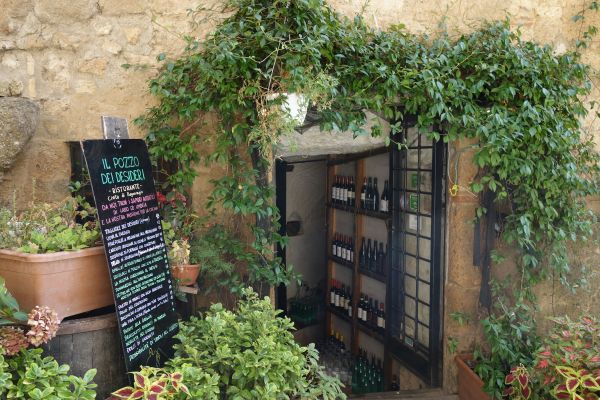 Découvrez la magie de boutique de lierre