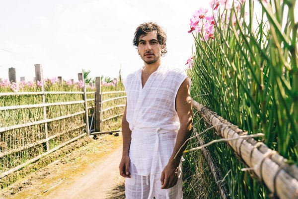 Clôture végétale naturelle : écran de verdure durable