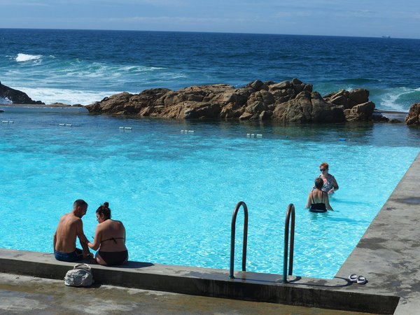 Quels sont les avantages des piscines naturelles pour l'écosystème du jardin ?